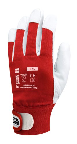 BŐRKESZTYŰ, SZÜRKE SZÍNKECSKE/PIROS VÁSZON, TÉPŐZÁR_11