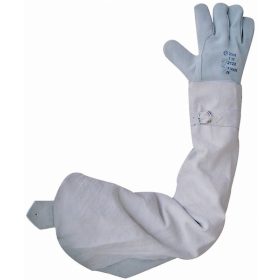 HEGESZTŐ KARVÉDŐ - CSATOS